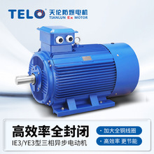 ����ֱ��YE3����Ч�����첽�綯��1.5/3/4/5.5/7.5/15kw�������