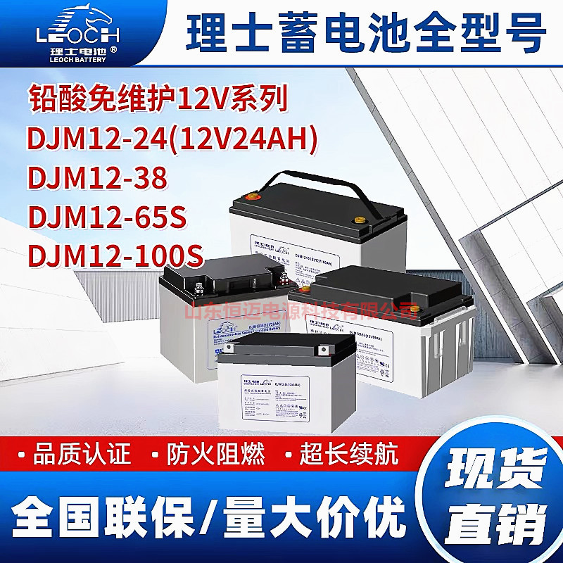 Leoch Battery Djm12V24 38 65 100Ah Dedicated for Server Room Dc Panel Ups/Eps Power Supply Leoch Battery Djm12V24 38 65 100Ah Dedicated for Server Room Dc Panel Ups/Eps Power Supply