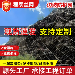 Passive Protection System Mountain Slope Protection Net Anti-Falling Stone Slide Soil Fixed Net National Standard Active Passive Edge Slope Protection Net