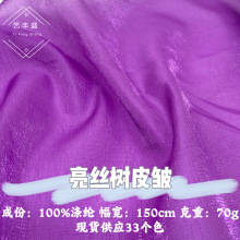 亮丝树皮皱仿麻亮丝挺括女装连衣裙半身裙汉服马面裙刺绣印花面料