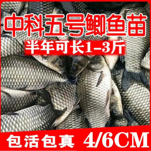 �����п���̖�a�~�����a����~���~�t���~���������絭ˮ�Bֳ����
