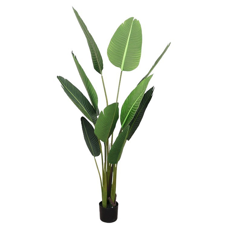 Simulación de plantación verde de plátano de bambú de tortuga grande planta de plantación de ventana interior diseño de ángulo de planta de árbol falso paisajístico