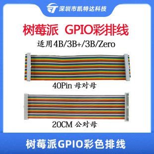 Raspberry Pi GPIO Expansion Board 20cm Color Cable 40pin Mother Transcendant/Public Transcendant Cable DuPont Cable