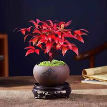 ͺֲֲ҃ȿ͏dGֲBļ໨