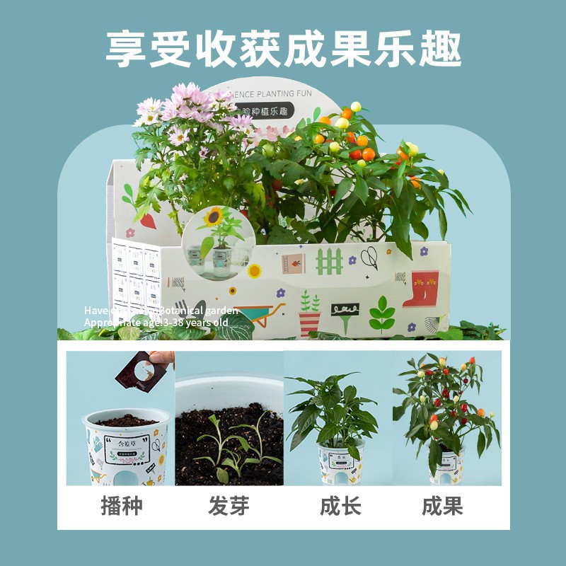 Niños crecen pequeñas plantas de maceta estudiantes de observación de girasol fresas diy juguetes adornos de mesa al por mayor
