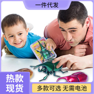 ���M���ߕ��ӵ����xģ�̓�ͯ��朼��x�l�l�������Ȥζ�l�l���