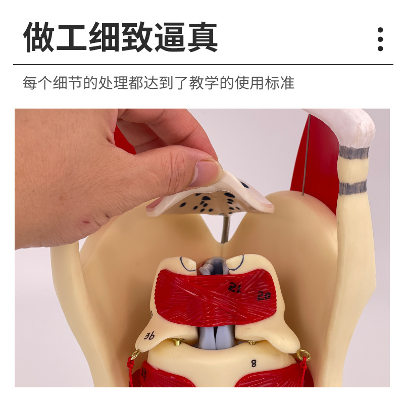 2���Ŵ��ʺ�ģ�ͺ����ʱ걾����Ѫ�ܼ�״�ٺ����ͷ���� ��ѧ����