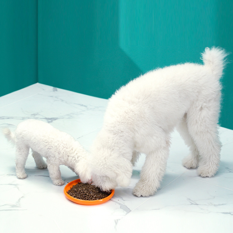 Meianju, comida para perros.