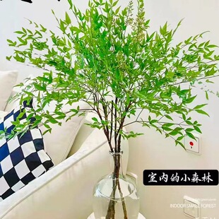 ������ˮ��ֲ�����tˮ�B�����҃Ȼ����r��֦���R�R��ľƽ��ֲ��