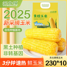 ��Ŵ���ס�����ʮ��ԇ�ԃɸ����^��|���SŴ�����S��С��������b