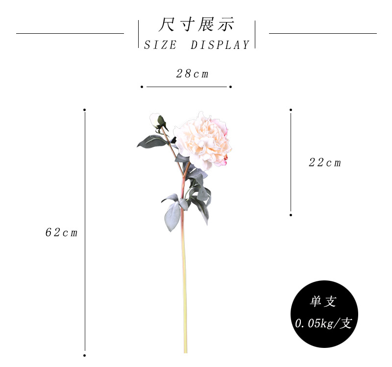 尺寸展示-香槟色.jpg