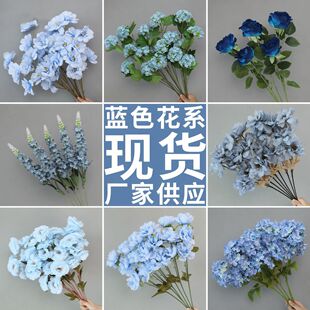 �{ɫ����c������Y��ˇ�廨�ٻ���Y�õ��ӆ�����b�