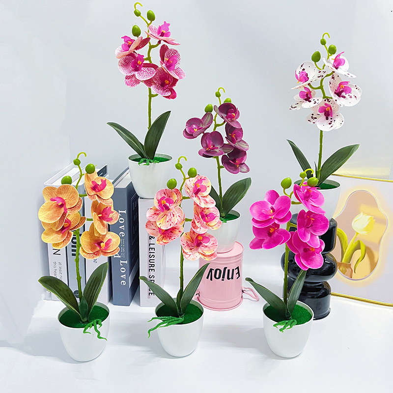 Simulated Flower 5 Flower Phalaenopsis Potted Plant High-End Realistic Green Plant Bonsai Home Photography Scene Layout Bonsai