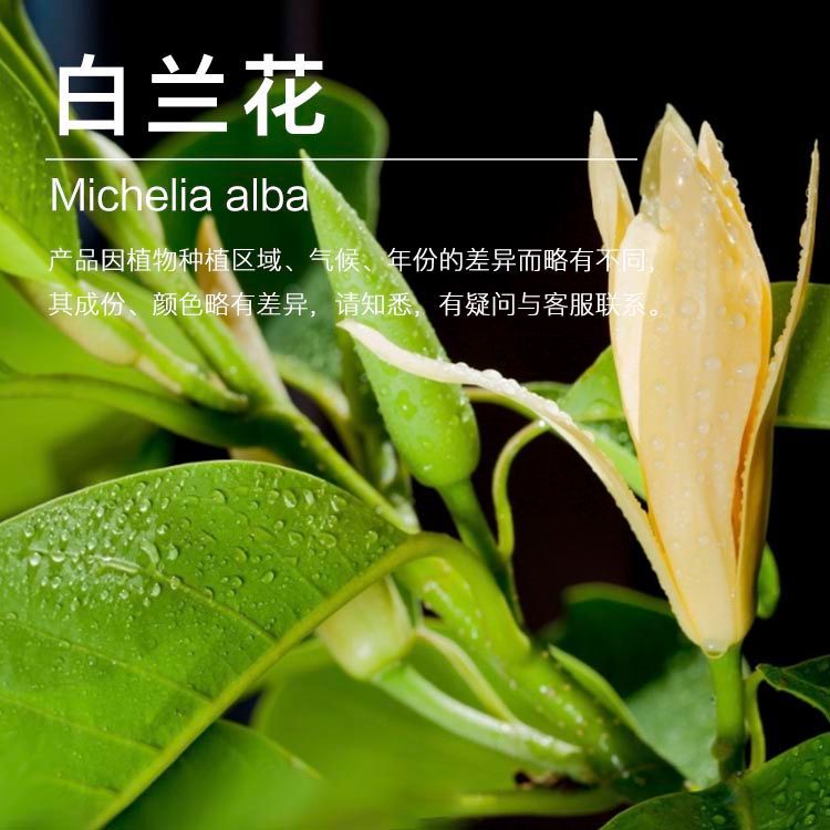 ��Ӧ�������� ������ȡ���������� ������ֲ������������ӭ��ѯ