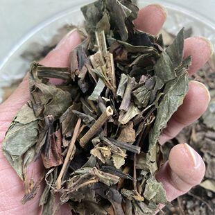 ��������������������� �Ź��� �[���L���Ҳ�