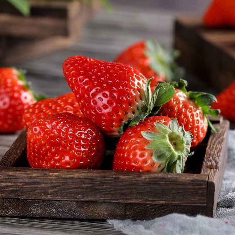 丹东99牛奶莓新鲜3斤奶油红颜大莓水果现摘现发半斤批发价|ru