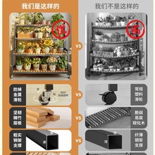 ̨ӿ͏dʽƄ¿ͥԺӶ⻨м