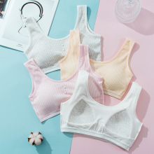 纯棉少女内衣女生发育期女童小背心青春期学生固定三角杯文胸9003
