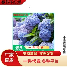 ٵĻ@ oMĴ{fAR̨ļNֲ