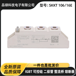 SKM200GB176D SKM300GB176D SKM400GB176Dԭ�Sԭ������IGB Tģ�K