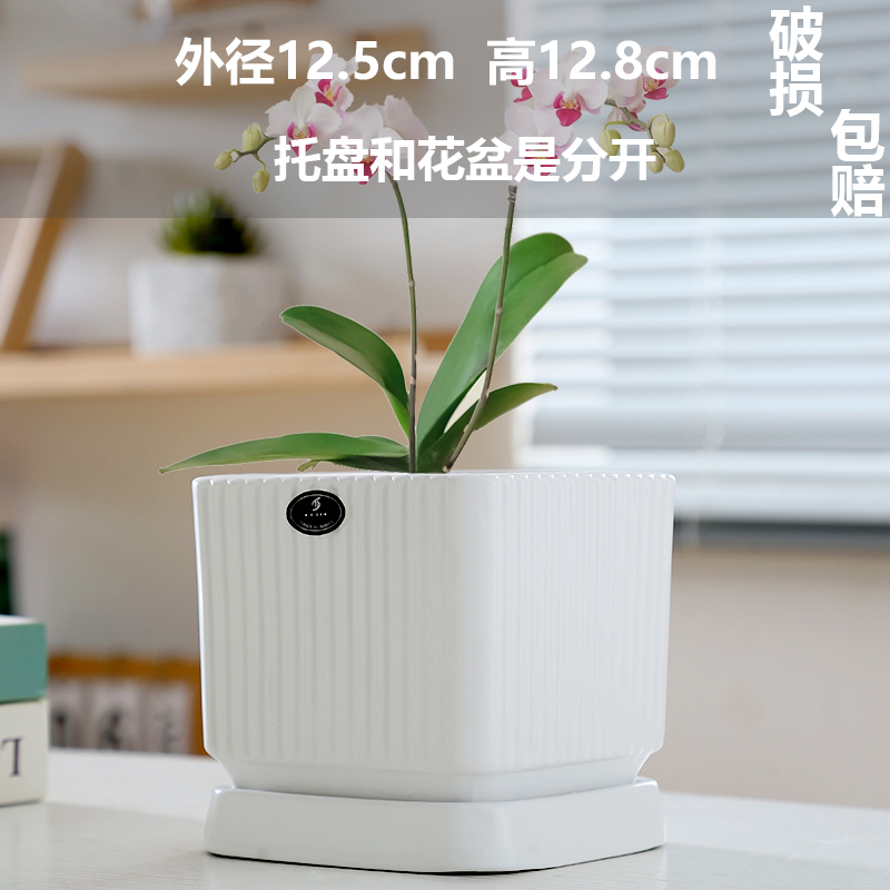 트레이가 있는 무광 흰색 정사각형 격자