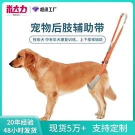 伊丽莎白圈;宠物项圈;狗狗食具