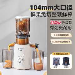 250 ワットジューサージュース残留物分離サイレントオリジナルジュースマシン全自動小型家庭用絞りたてジュース YZ600
