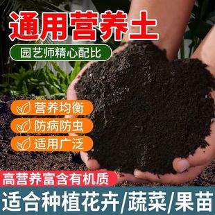 Nutrient Soil Plant Flower Fertilizer Flower Planting Flower Planting Fleshy Green Rod Orchid Vegetable Seedling Raising Nutrient Soil Flower Green Plant