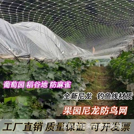 其他塑料网;农业塑料网;防虫网