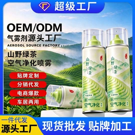 清洗/养护剂;空调清洁剂;鞋袜除臭剂