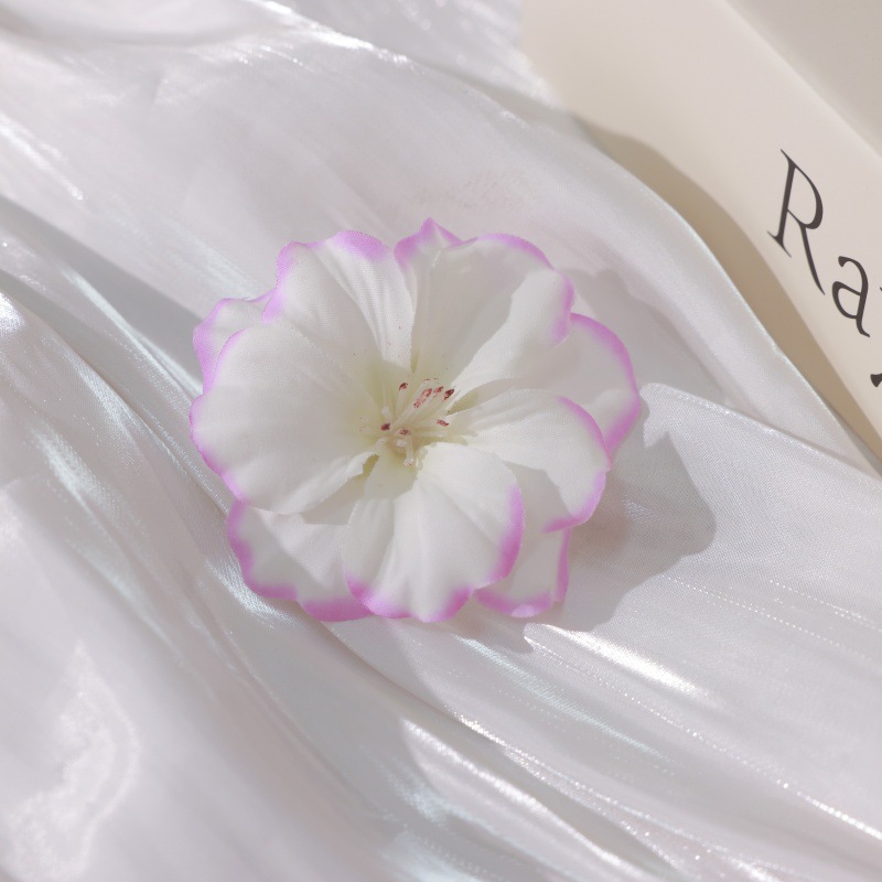 흰색과 보라색 벚꽃