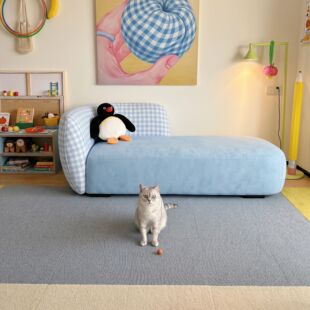 福建泉州樊登家具有限公司