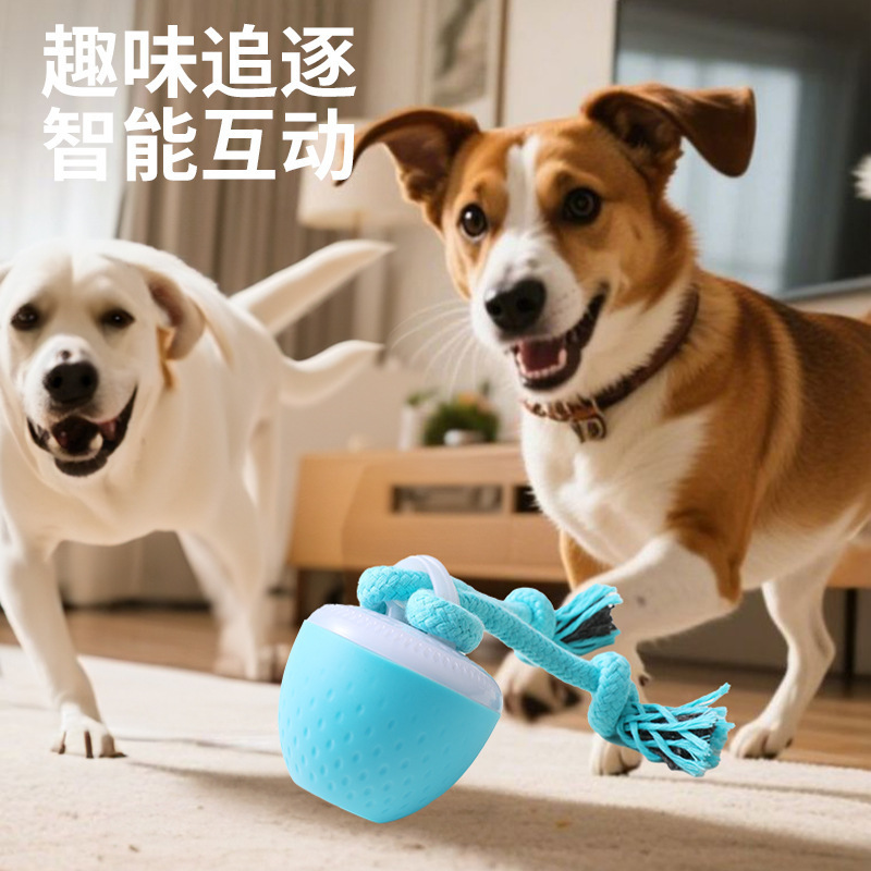 跨境智能耐咬逗绳子狗球磨牙发声玩具宠物智能滚动球电动狗狗解闷|undefined
