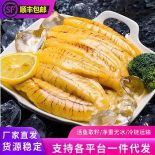 �S���~�����r�ك���̖�S�~�ѻ��~ȡ������~���~�s�r��r���l