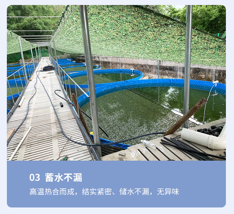 镀锌板鱼池2_14