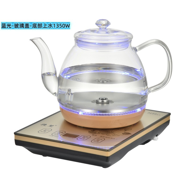 골드 - 블루 라이트 및 유리 커버 포함