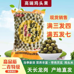 ���x���L�����خa���r��Ʒ�|�����u�^���͌�Ұ���u�^���u�^��l