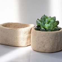 ins�L���ʯ���������������ˮ͸����Ķ��⻨�����΢�
