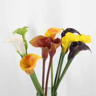 ���滨���lPU������R��ɏˇ�g�廨���ĔzӰ���߻�c�b��ٻ�