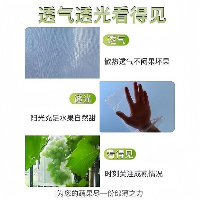 186eeb94-dd52-4066-a0b6-d31e1f80d5cb.jpe