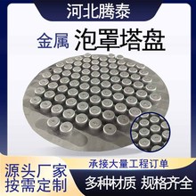 304不锈钢泡罩塔盘固阀塔盘平板式多孔筛板塔盘金属浮阀塔盘厂家