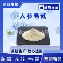 人参皂甙 多规格 人参提取物 人参皂苷浓缩粉 水溶   康锐生物