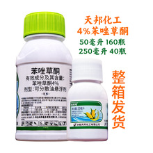 ���4%�����ͪ ���׌��ó��݄� �޲��R�ƹ�β��Ŵ����������ș