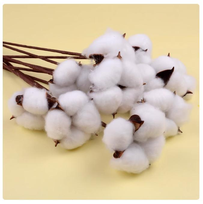 Natural Cotton Dried Flower Christmas Cotton Artificial Flower Single Cotton White Color Cotton Head Kapok Mori