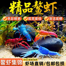 ���r�^�p�r�絭ˮ��ˮ�ͻ��w����t���{С���r��ˮ���r���ɽԭ��