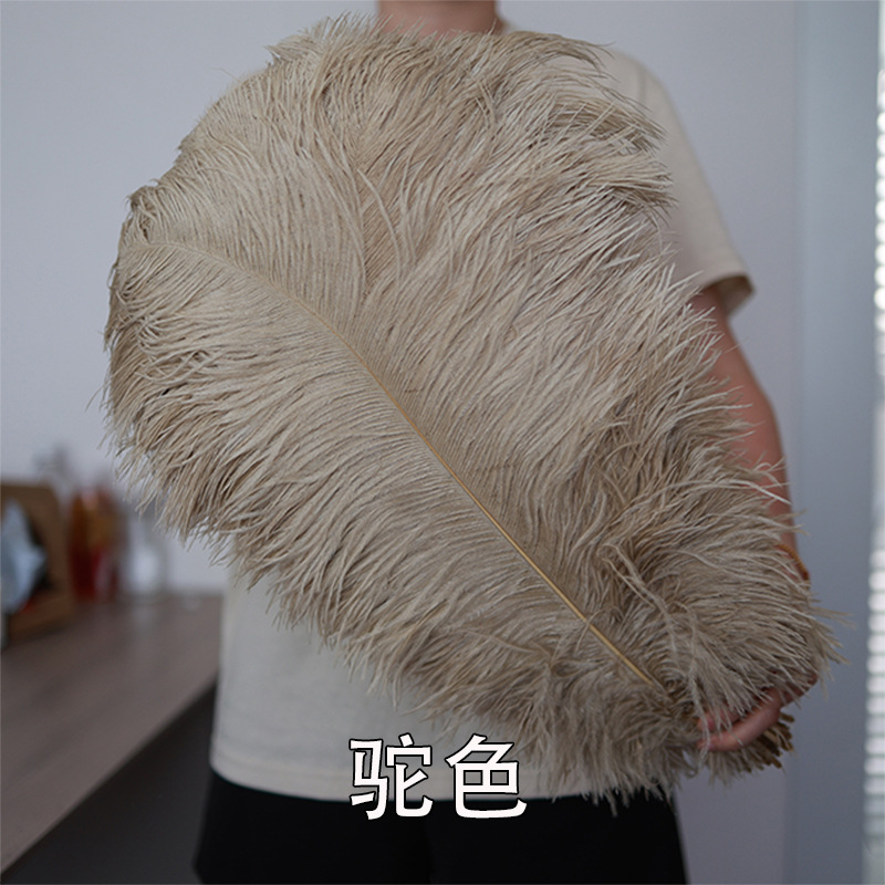 55 - 60cm plumas de avestruz de Sudáfrica al por mayor accesorios de ropa DIY accesorios materiales accesorios de diseño de boda lana de avestruz