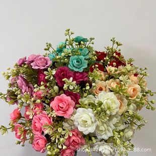 14�^��õ������ߚWʽõ�廨�羳���l������c�Ӽ��bٻ�����
