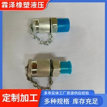 厂家供应不锈钢测压接头压力表软管接头PT  PTF系列高压测压接头