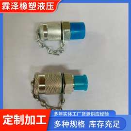 厂家供应不锈钢测压接头压力表软管接头PT  PTF系列高压测压接头