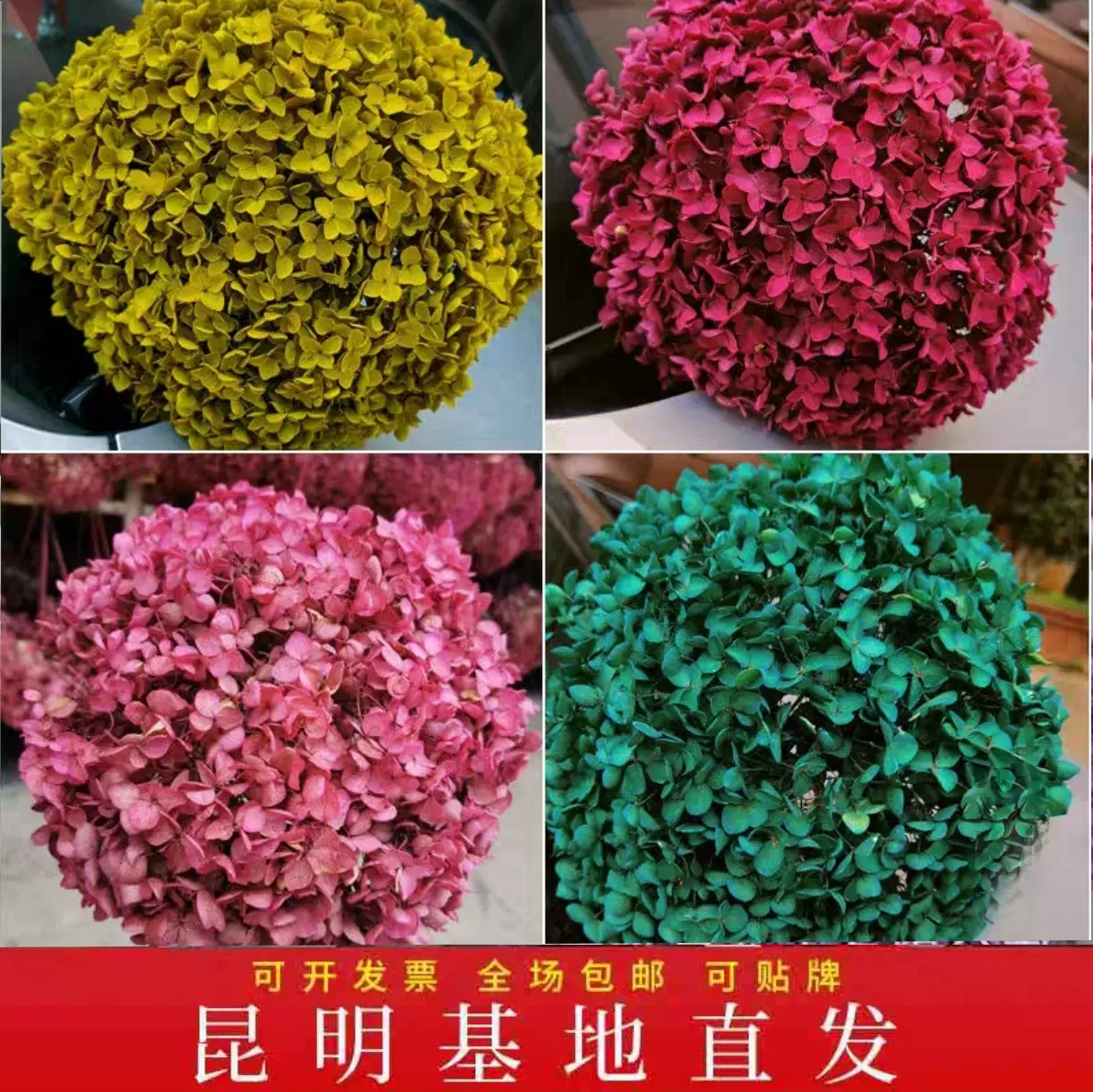 绣球永生花干花吸色安娜diy花材客厅商场婚礼布景太阳花花卉